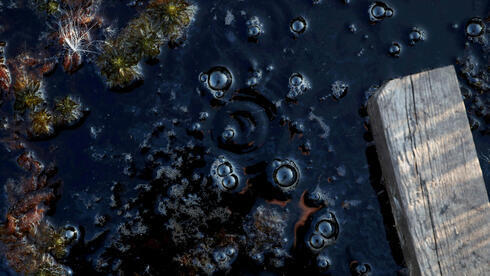 Burbujas de metano en un pantano. 