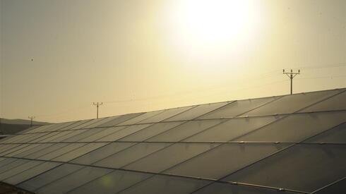 Paneles solares en el desierto de Negev. 