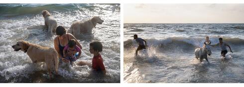 Una familia israelí disfruta del mar junto a sus perros y una familia palestina se mete al agua junto a su burro. 