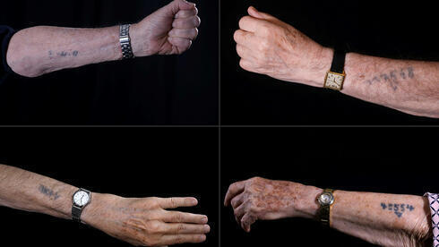 Sobrevivientes del campo de exterminio nazi de Auschwitz muestran sus números de prisioneros tatuados en sus antebrazos. 