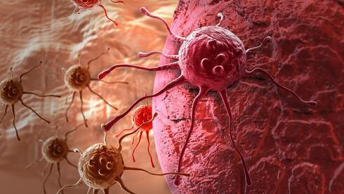 Mientras que la quimioterapia destruye las células cancerosas, la inmunoterapia alienta al sistema inmunitario a identificar y atacar las células cancerosas restantes. 