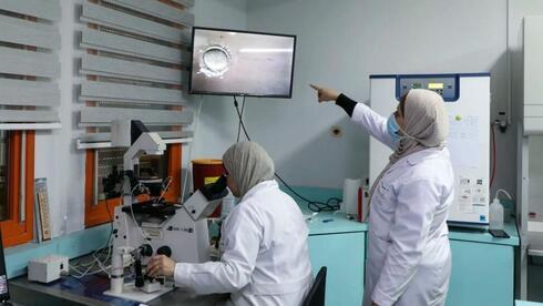 Médicos y técnicos palestinos trabajan en el laboratorio de fecundación in vitro de la clínica de fertilidad Razan Center de Naplusa, en Cisjordania. 