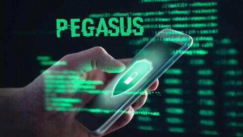 Pegasus es el programa espía desarrollado por NSO Group. 