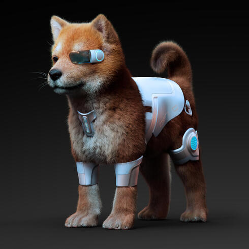 Mascotas virtual new arrivals