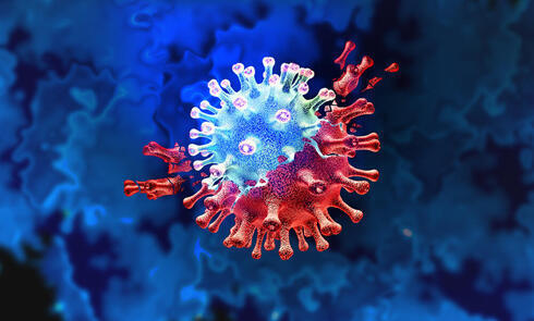 COVID-19, el virus que obligó a cambiar varios hábitos, incluso los laborales. 