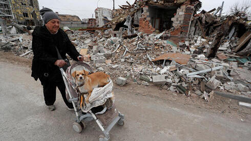 Una civil ucraniana paseando a su perro en las ruinas de Mariúpol. 