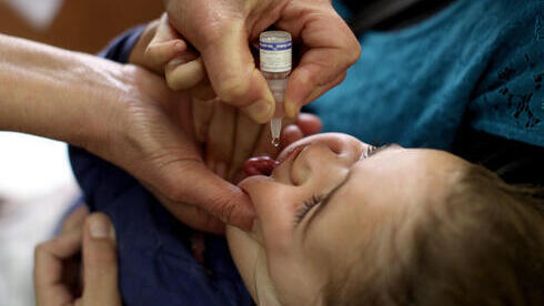 Dos gotas de vacuna contra la polio.