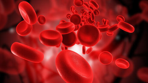 Células de sangre.