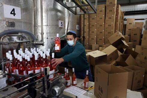 Un empleado clasifica botellas de vino mientras trabaja en la bodega Tura en Rehelim, un asentamiento israelí en Cisjordania. 
