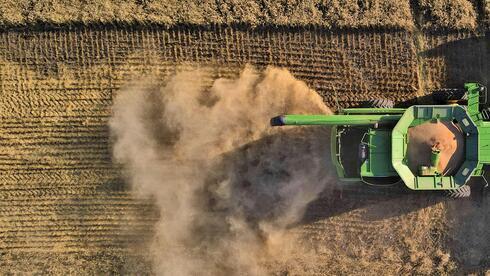Vista aérea de un campo de trigo.
