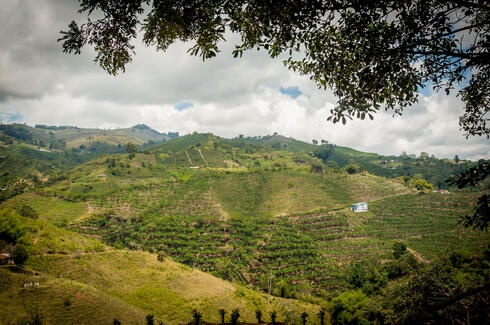 Valle del Cauca, Colombia. 