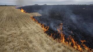 Campos de cereales arden, en las afueras de Kurakhove, Donetsk Oblast, este de Ucrania, el jueves 21 de julio de 2022.