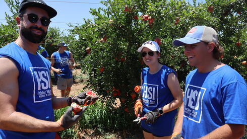 Atletas del Maccabi USA se ofrecen como voluntarios en el Hashomer HaChadash del Fondo Nacional Judío de Estados Unidos.