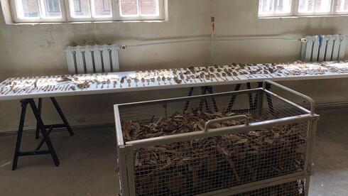 Objetos encontrados en Auschwitz durante los trabajos de conservación.