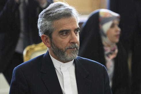 Ali Bagheri Kani, jefe del equipo negociador iraní. 