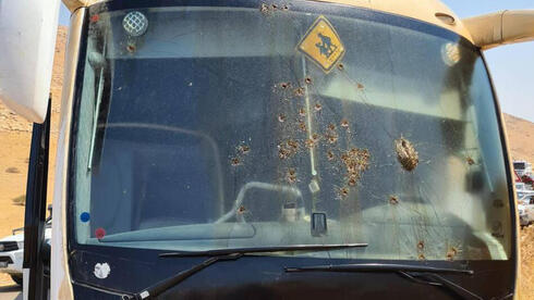 Impactos de bala contra el parabrisas del autobús atacado. 