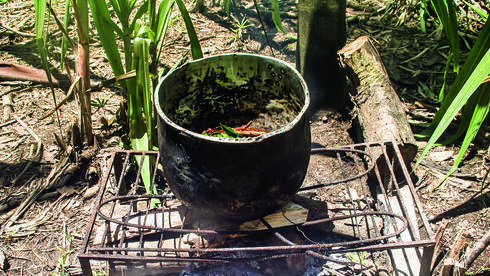 Té de ayahuasca