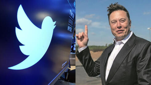 El símbolo de la red social Twitter y Elon Musk. 