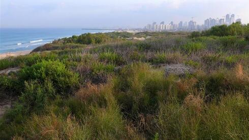 El parque de la playa del sur en Ashdod. 