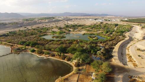 El santuario de aves en Eilat. 