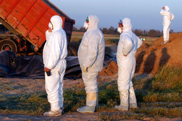 Una fotografía del brote de gripe aviar de 2006 en Israel, con trabajadores del Ministerio de Agricultura enterrando los cadáveres de pavos muertos en el kibbutz En Hashlosha en el oeste de Negev. 