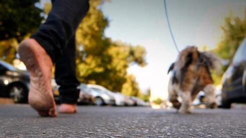 Jacky Simon paseando a su perro. 