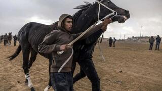 Los beduinos reinvidican las carreras de caballos como parte de su cultura. 