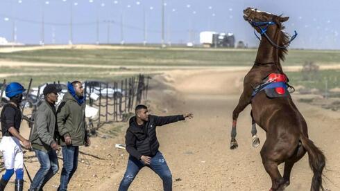 Los beduinos se urbanizan cada vez más, y son considerados el sector más pobre de la población israelí. (AFP) Los beduinos se urbanizan cada vez más, y son considerados el sector más pobre de la población israelí.