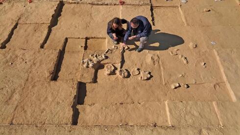 Dunas de arena de Nitzana.