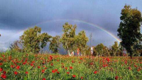 Festival Darom Adom en el sur de Israel. 