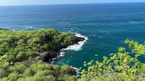 En Galápagos, tanto la tierra como el océano son un vasto campo de investigación. 