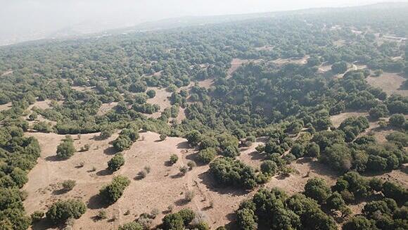 Juba' natural en los Altos del Golán. (Gentileza Oded Aharonson, Instituto Davidson de Ciencias) Juba' natural en los Altos del Golán.