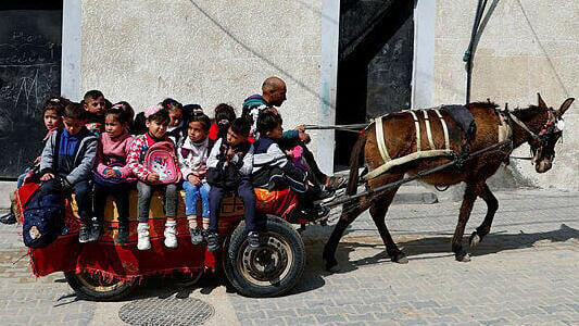 Loay Abu Sahloul lleva a los niños a la escuela en su carro tirado por burros. 