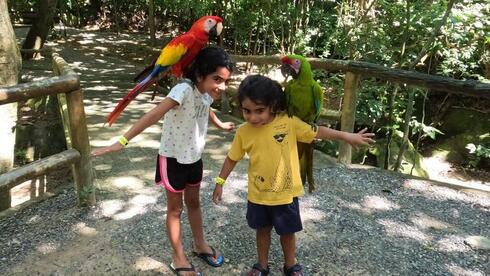 Nada mejor que un guacamayo en el hombro. 