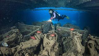 Cientos de buceadores se acercan al coral artificial para investigarlo.