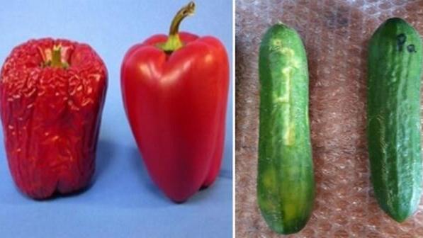Ejemplo de cómo quedan las verduras después de utilizar el producto sufresca.
