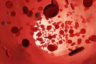 Científicos del Instituto Weizmann resolvieron el enigma de la creación de glóbulos rojos. 