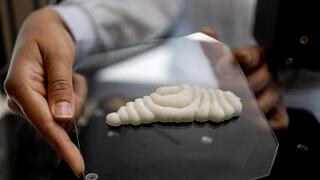 Un trozo de mero cultivado recién impreso en 3D.