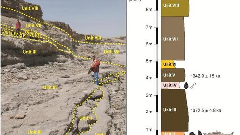La zona de excavación en Etiopía y un gráfico que muestra los estratos del terreno donde se encontró la mandíbula.