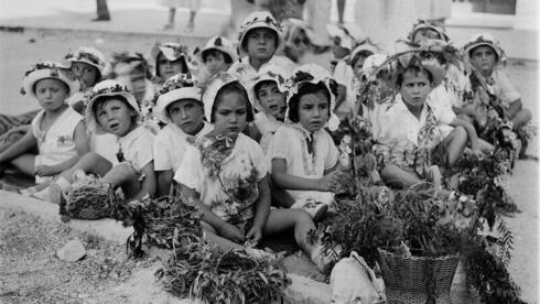 Jardines de infancia presentan ofrenda de fruta, en Jerusalem, 1930. (Avraham Malevsky, Archivos KKL-JNF) Jardines de infancia presentan ofrenda de fruta, en Jerusalem, 1930.