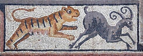 Mosaico que representa a un león persiguiendo a un buey. 
