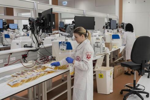 El personal trabaja en el Centro Nacional de Servicios de Sangre Marcus de Magen David Adom, en Ramla, Israel. (AP Foto/Bernat Armangue) El personal trabaja en el Centro Nacional de Servicios de Sangre Marcus de Magen David Adom, en Ramla, Israel.