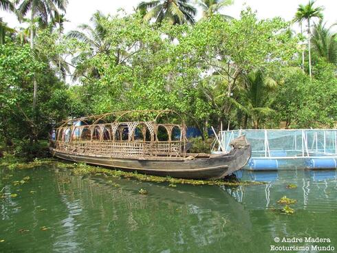 Tradicional transporte en Vaikom, Kerala. 